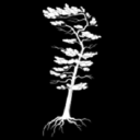 Pinetree Catering logo