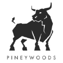 pineywoodsfl.com