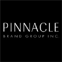 pinnaclebrandgroup.com