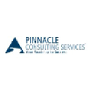 pinnacleconsultingservices.com