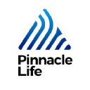 Pinnacle Life, LLC