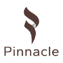 pinnaclemisr.com