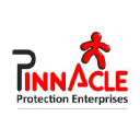 pinnacleppe.com