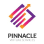 Pinnacle Virtual Services logo