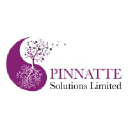 pinnattesolutions.co.uk