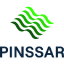 Pinssar