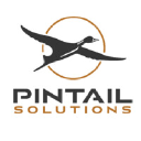 Pintail Solutions LLC