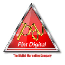 Company logo for pintdigital.in