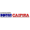 pintoscaipira.com.br