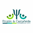 pinzoncastaneda.com