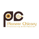pioneerchicory.com