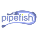 pipefishdigitalmarketing.com