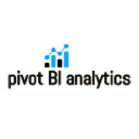 Pivot BI Analytics