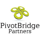 pivotbridge.com