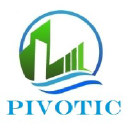 Pivotic Properties