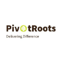 pivotroots.com