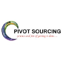 pivotsourcinginc.com