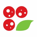 www.pizzavillage.it logo