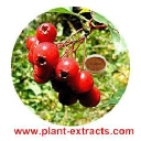 plant-extracts.com