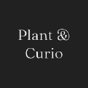 Plant & Curio logo