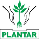 plantar.com.br