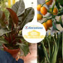 PLANTASSISTANCE