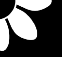 Planting Seeds Records