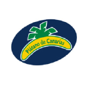 PC  Avatar