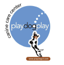 playdogvt.com