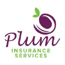 pluminsuranceservices.com
