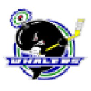 plymouthwhalers.com