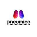 pneumico.com