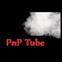 PNP Tube Fraud Traffic Report