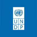 undp.org.in