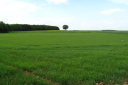 POITOU-TERRAINS