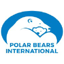 polarbearsinternational.org