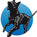 GraydonCreditsafe Business Index Rapport