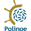 polinoe.com