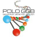 pologgb.com