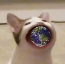 popcat.click