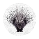 porcupinewebdesign.co.uk