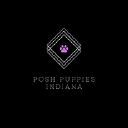 poshpuppiesindiana.com