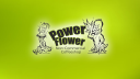 powerflower1.nl Invalid Traffic Report