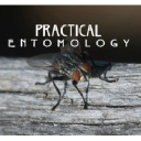 practical-entomology.com