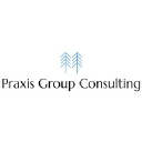 praxisgroupconsulting.com