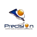 precisioncarpetcleaner.com