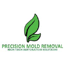 Precision Mold Removal Company