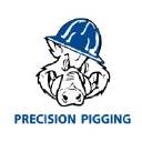 precisionpigging.com