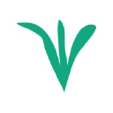 precision planting
