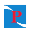 premier it solutions llc